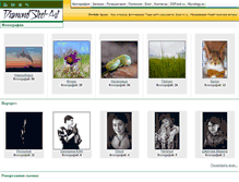 Tablet Screenshot of diamondsteel.ru